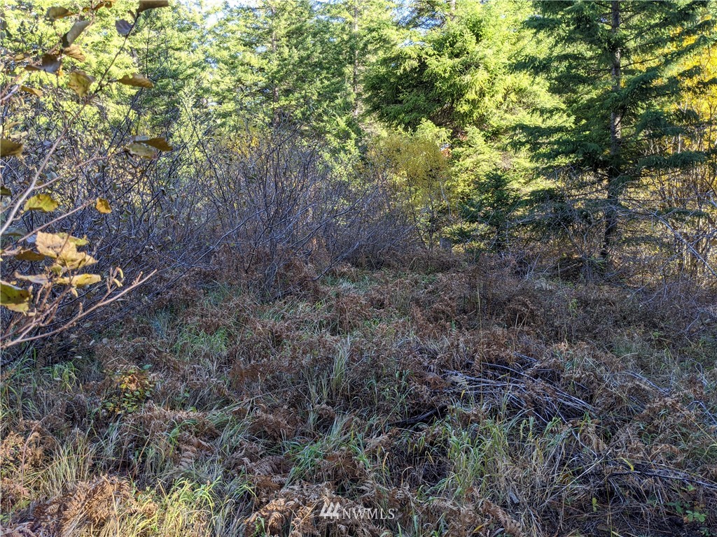 1 Bakers Road Ronald, WA 98940 - Photo 11 of 17 Gallery Image 11