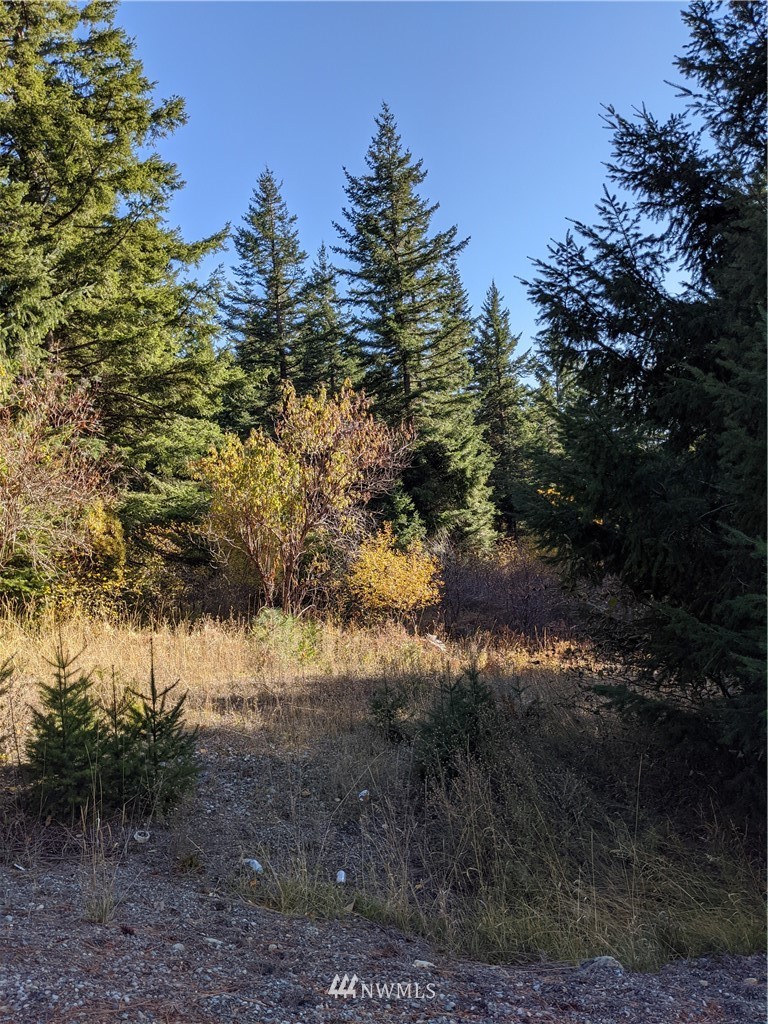 1 Bakers Road Ronald, WA 98940 - Photo 17 of 17 Gallery Image 17