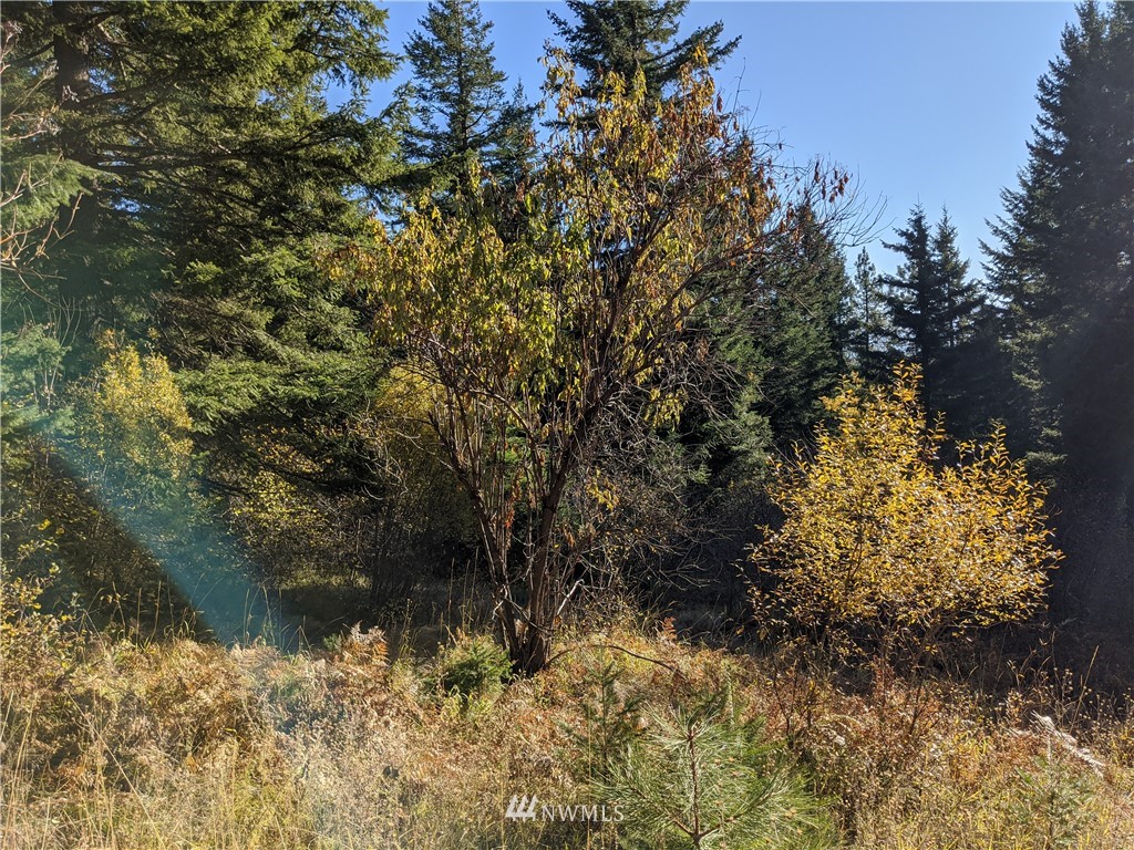 1 Bakers Road Ronald, WA 98940 - Photo 4 of 17 Gallery Image 4