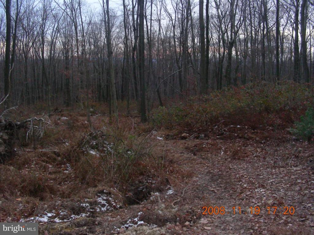 0 Rt 501 Bethel, PA 19507 - Photo 1 of 5 Gallery Image 1