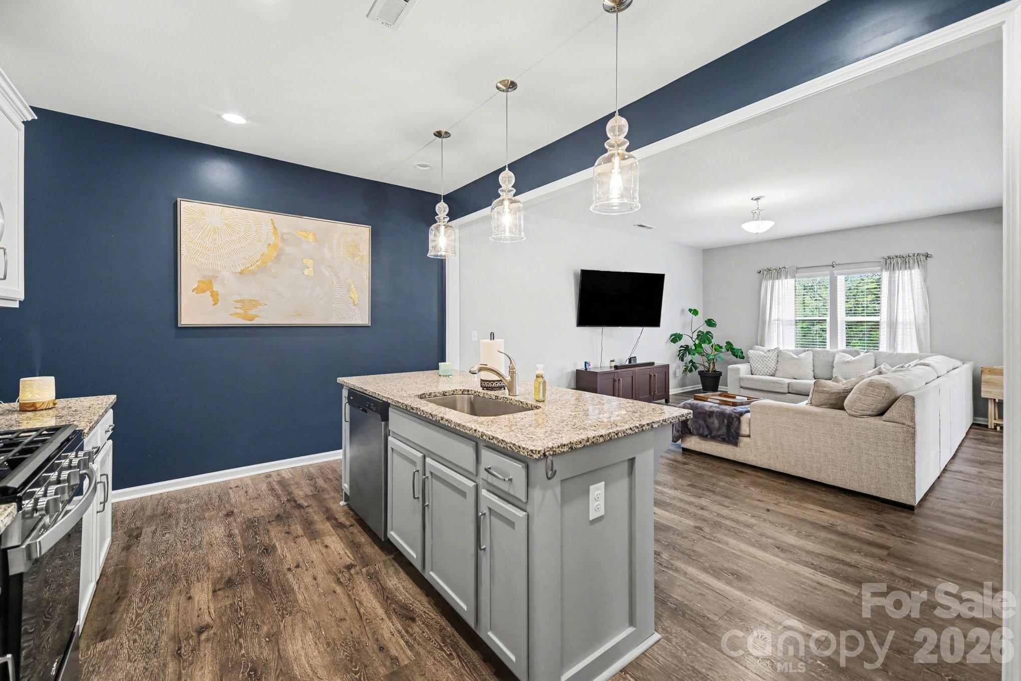 6423 Kinder Lane Lancaster, SC 29720 - Photo 9 of 48 a living room with stainless steel appliances kitchen island granite countertop a sink and a flat screen tv