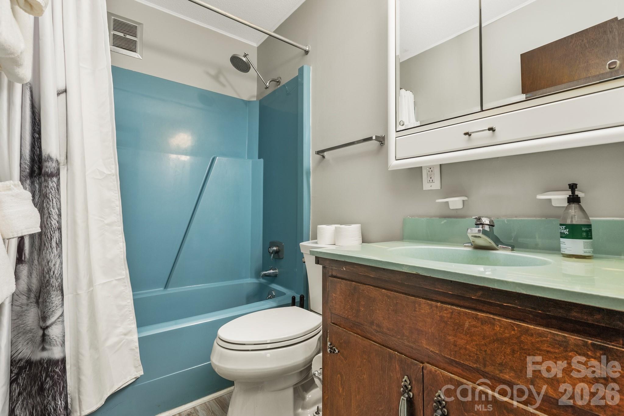 1971 Buffalo Creek Road Lake Lure, NC 28746 - Photo 17 of 31 a bathroom with a granite countertop sink a toilet a mirror and shower