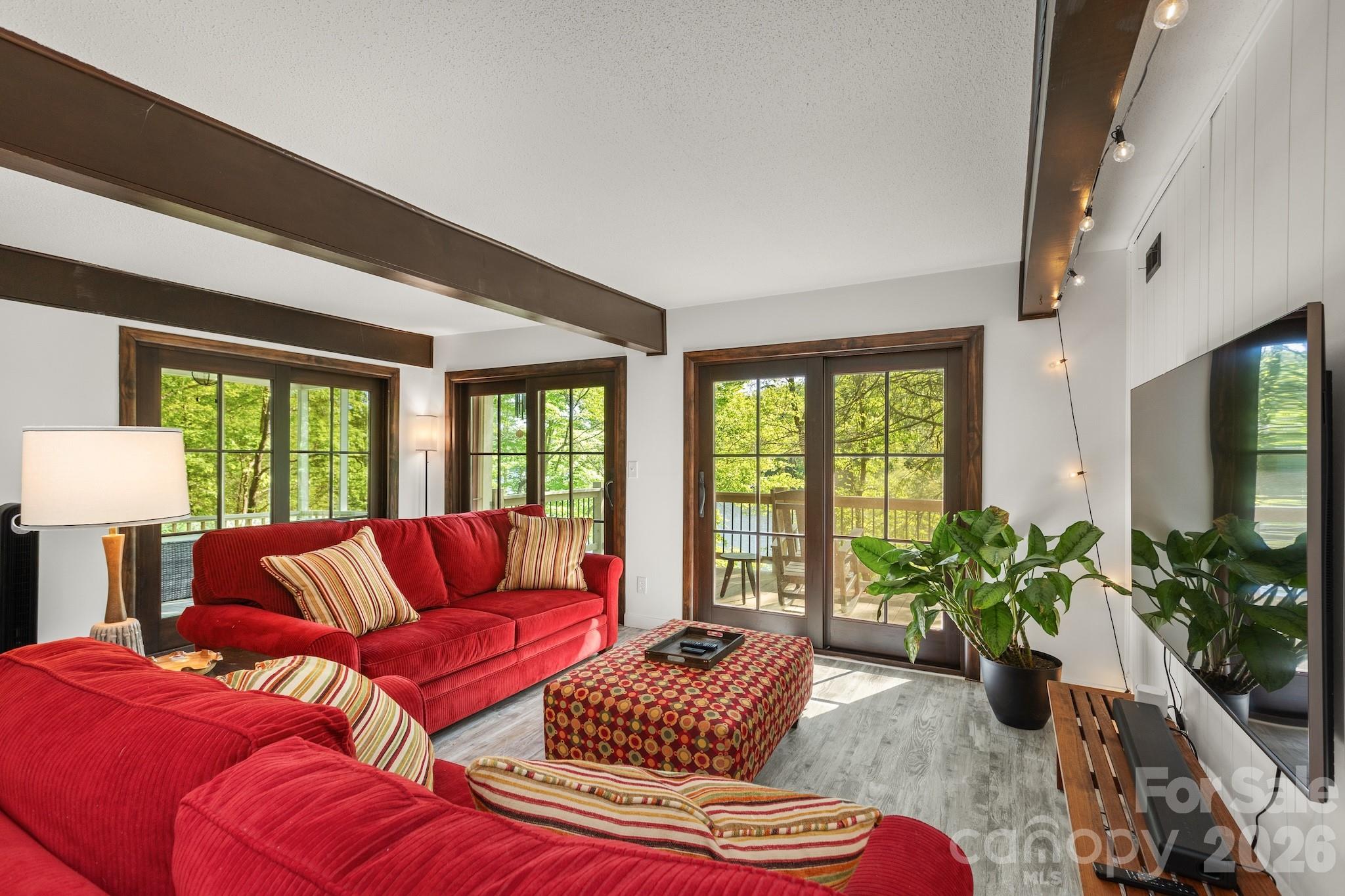 1971 Buffalo Creek Road Lake Lure, NC 28746 - Photo 9 of 31 a living room with furniture and a potted plant