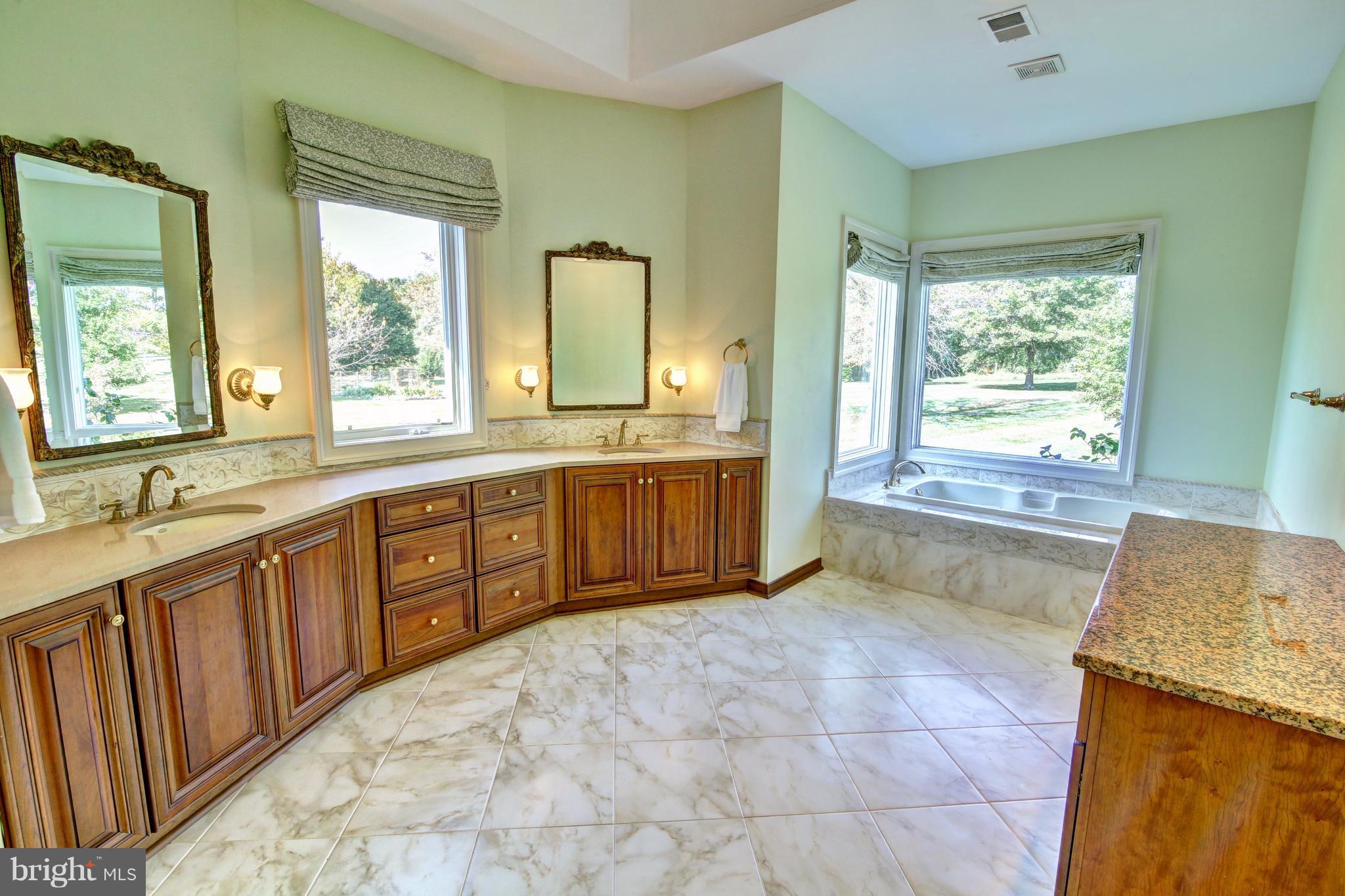 37282 Mountville Road Middleburg, VA 20117 - Photo 11 of 30 Bath (Master)