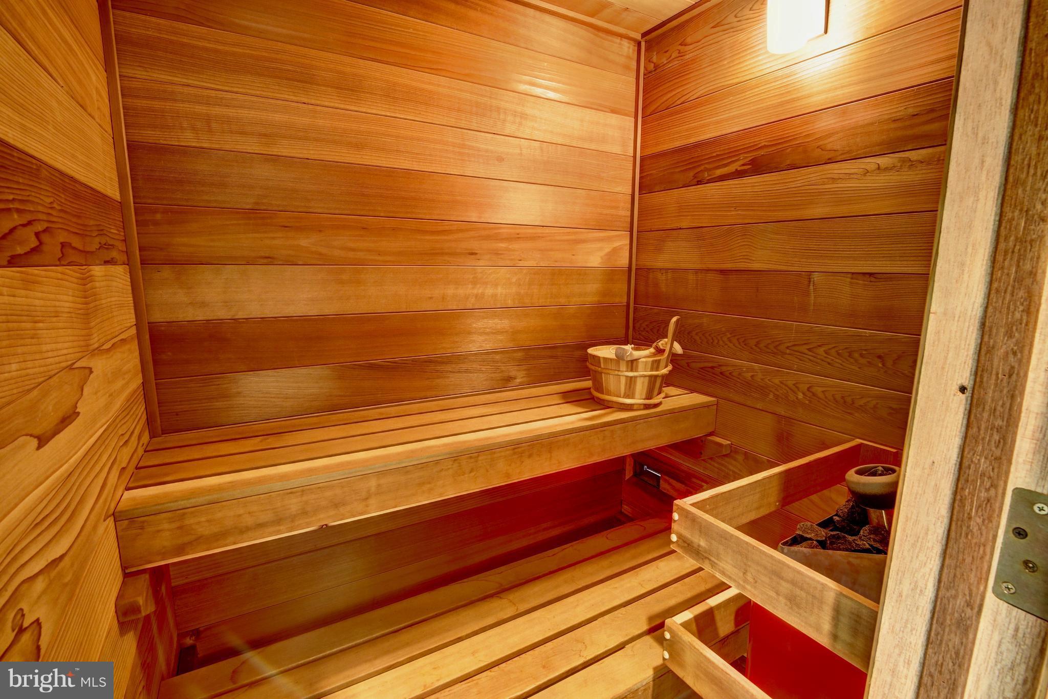 37282 Mountville Road Middleburg, VA 20117 - Photo 12 of 30 Sauna