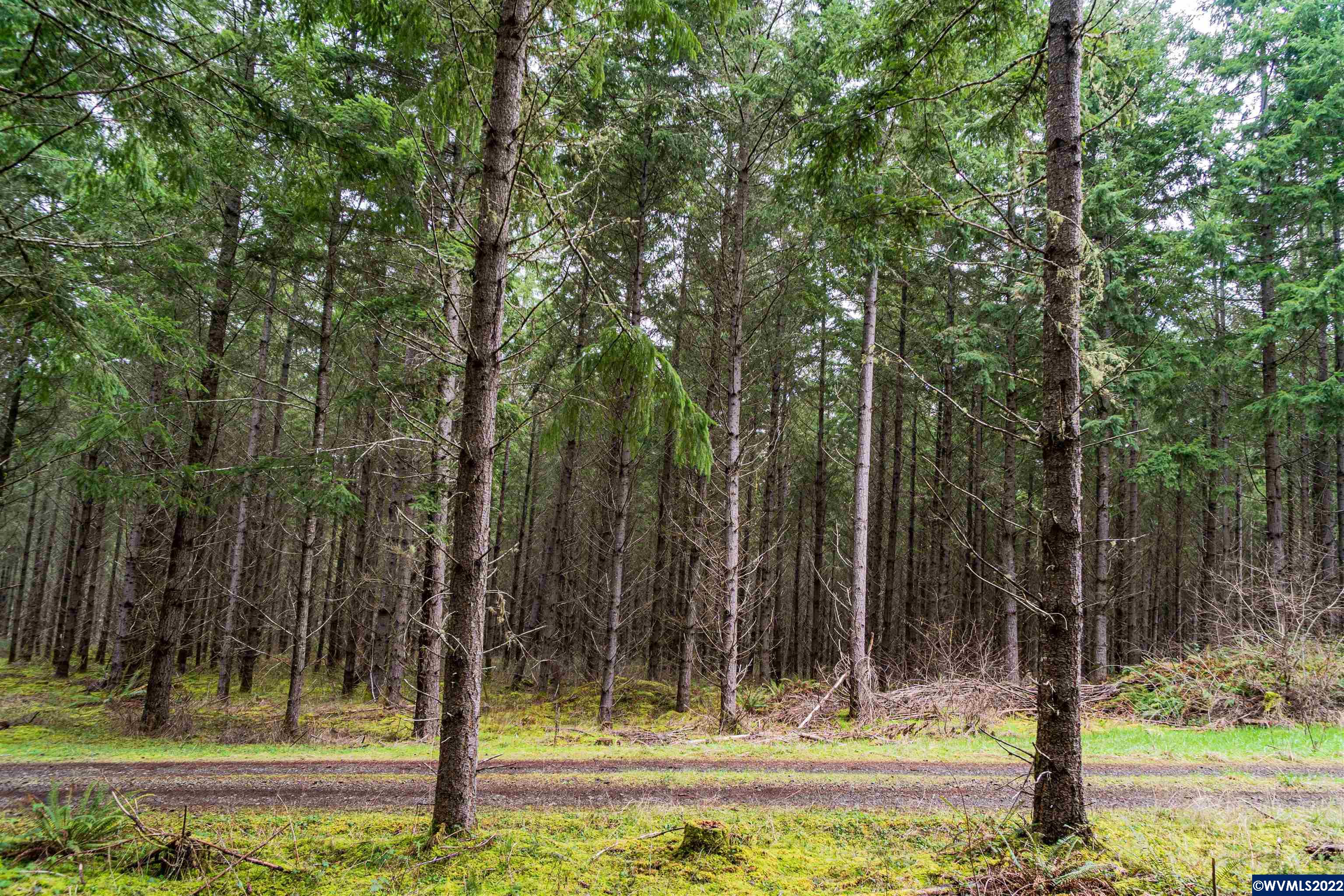 Na Foster Road Monroe, OR 97456 - Photo 4 of 32 Gallery Image 4