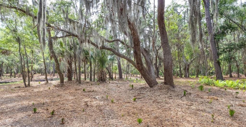 7149 Fitzpatrick Lane Jacksonville, FL 32226 - Photo 33 of 69