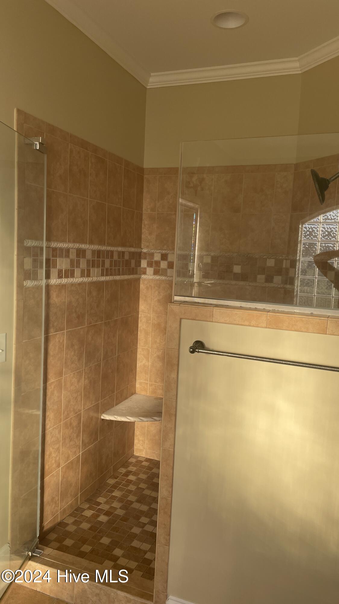 2860 Beddard Road Grimesland, NC 27837 - Photo 16 of 33 master shower (1)