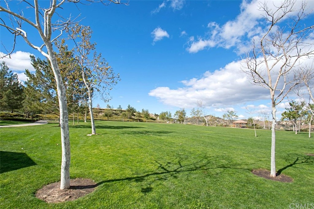 28825 Woodspring Circle Lake Forest, CA 92679 - Photo 45 of 50 a view of a golf course with a lake