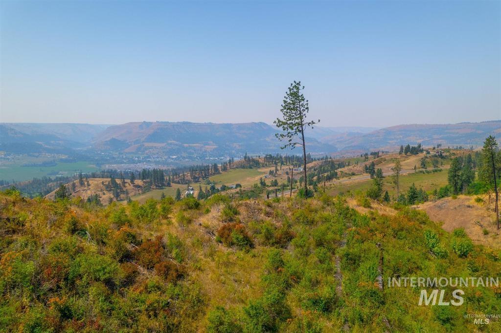 Tbd Lot #2 Beaverslide Road Kamiah, ID 83536 - Photo 14 of 18 Gallery Image 14