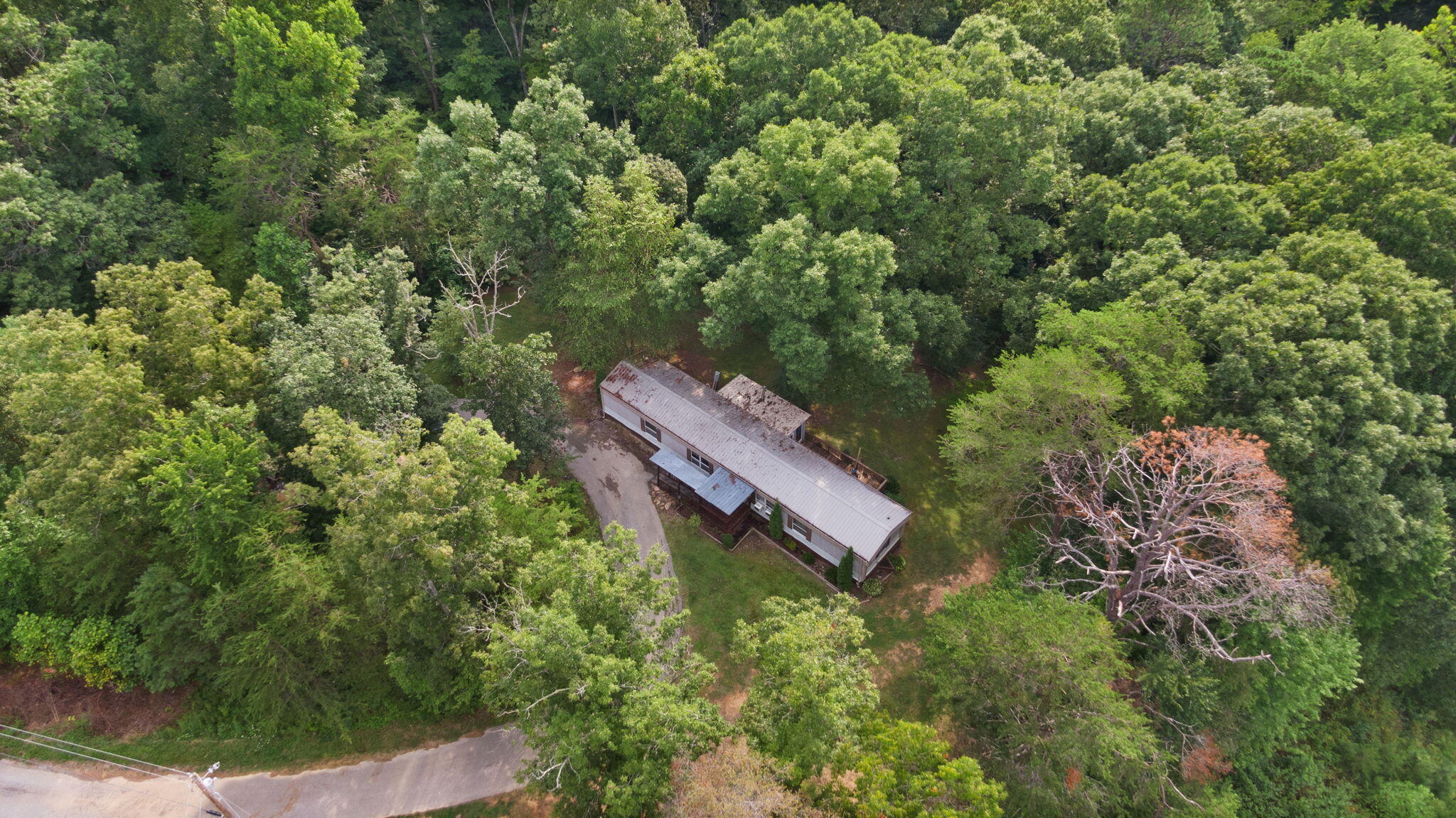 184 Cabin Ridge Road London, KY 40741 - Photo 46 of 53 77-web-or-mls-DJI_0143