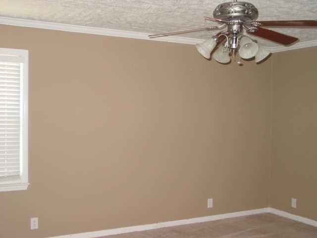 2511 Cabot Court Murfreesboro, TN 37129 - Photo 8 of 18 First floor Owners' Suite with private bath and double closets.