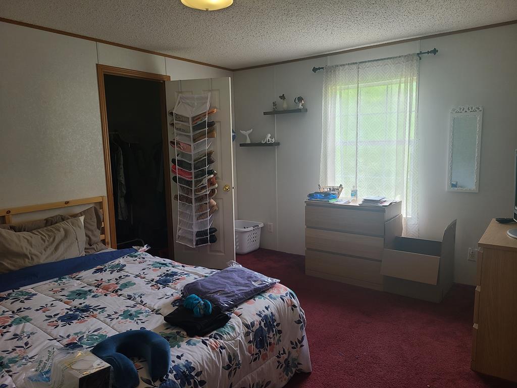 137 Sycamore Road Saltville, VA 24370 - Photo 11 of 16 137 Sycamore Rd 11