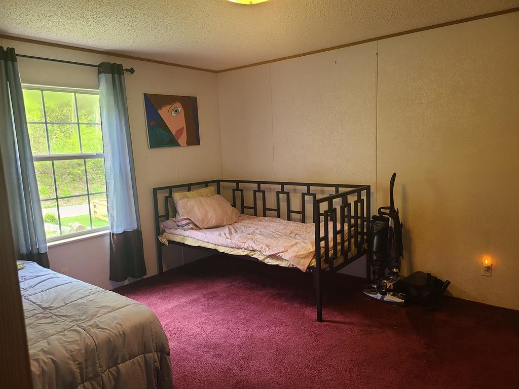 137 Sycamore Road Saltville, VA 24370 - Photo 12 of 16 137 Sycamore Rd 12