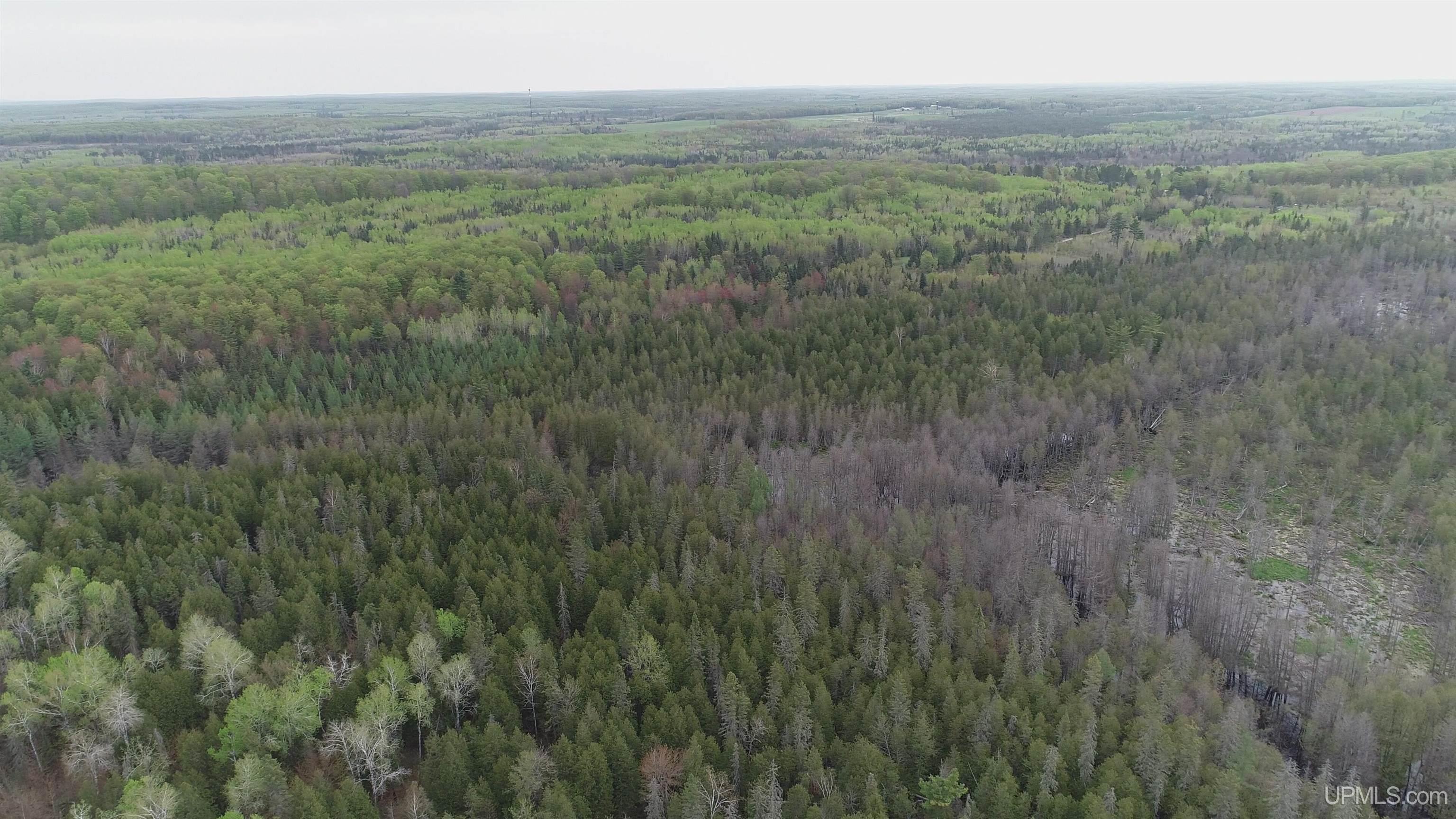 9 Rd Foster City Mi 49834 Road Felch, MI 49831 - Photo 19 of 32