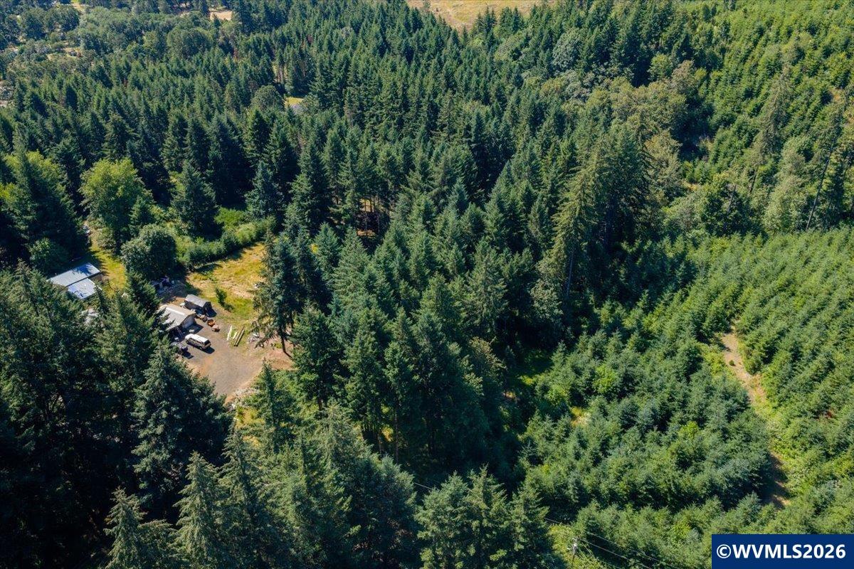 432 Chamberlain Road Falls City, OR 97344 - Photo 17 of 26