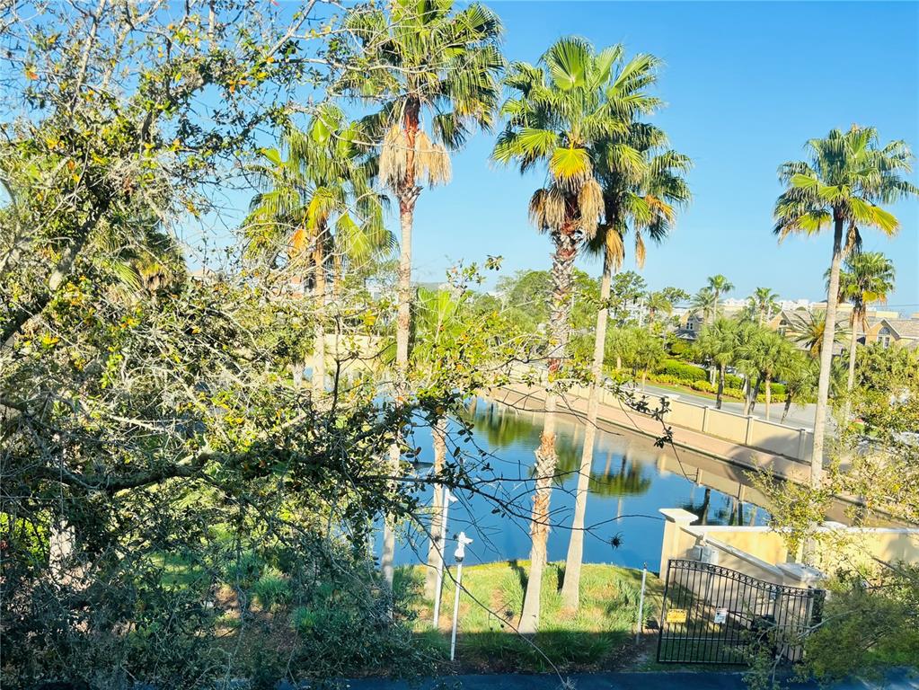 5633 Blackfin Drive New Port Richey, FL 34652 - Photo 30 of 46 a view of a swimming pool with a yard