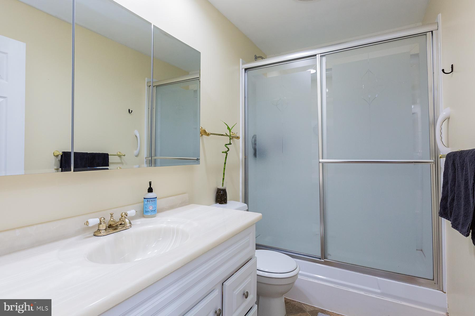 748 Old Lancaster Pike Reading, PA 19607 - Photo 74 of 118 Full Bath 3 - shower stall