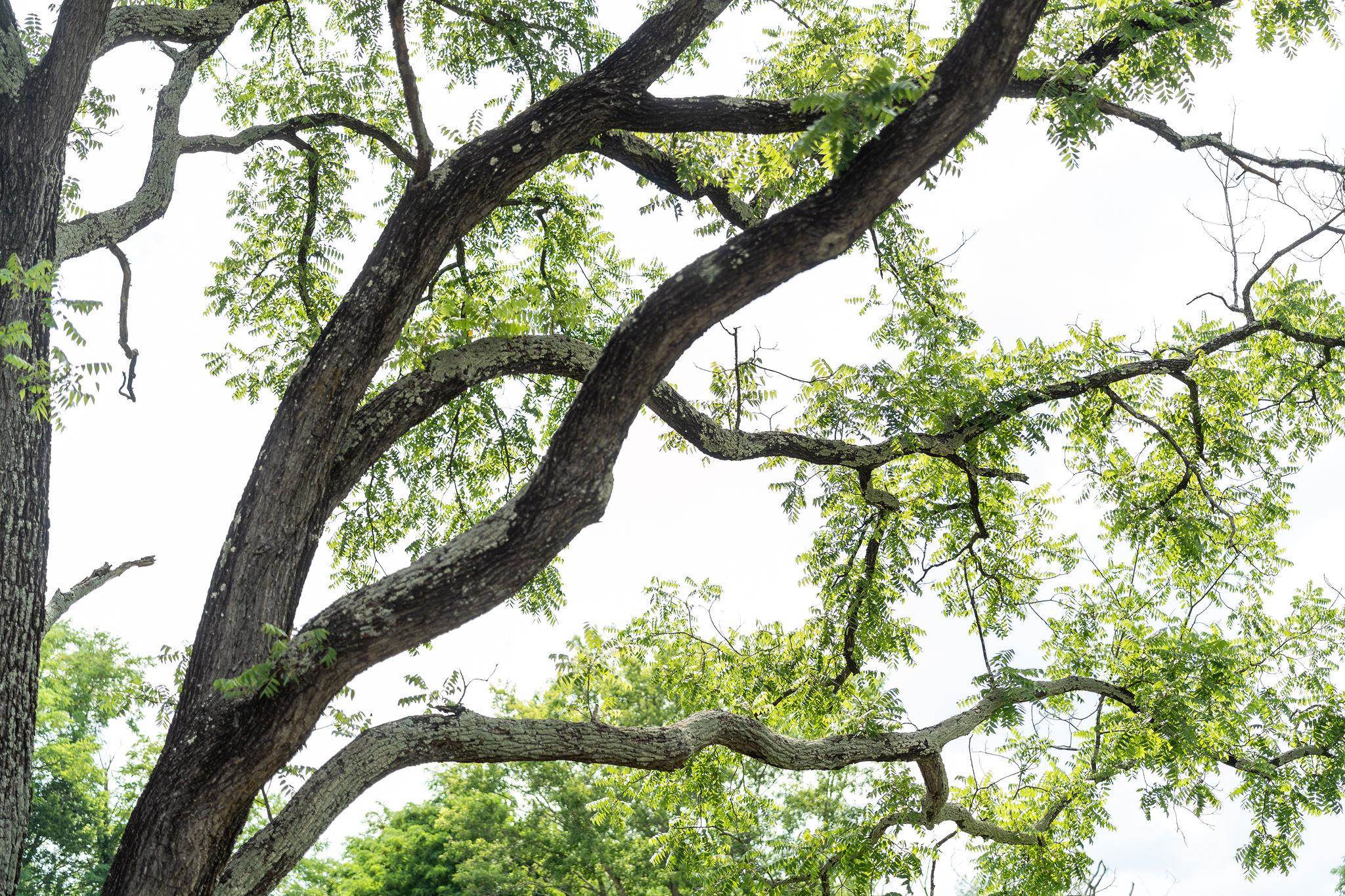 2302 Lee Highway Mount Sidney, VA 24467 - Photo 60 of 75