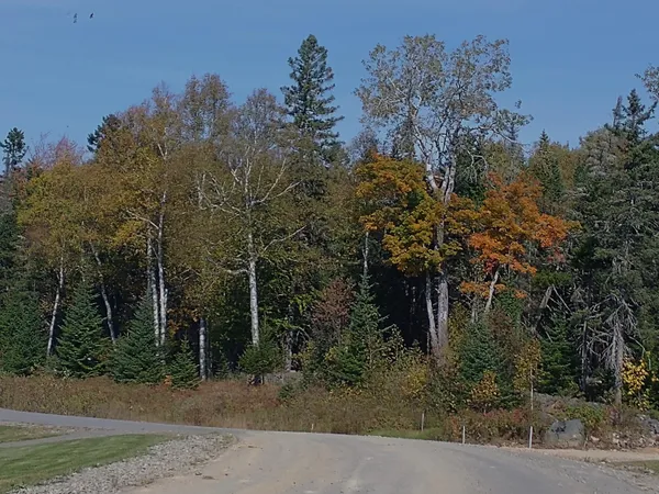$95,000 | 92 Big Snow Way, Rangeley, ME 04970