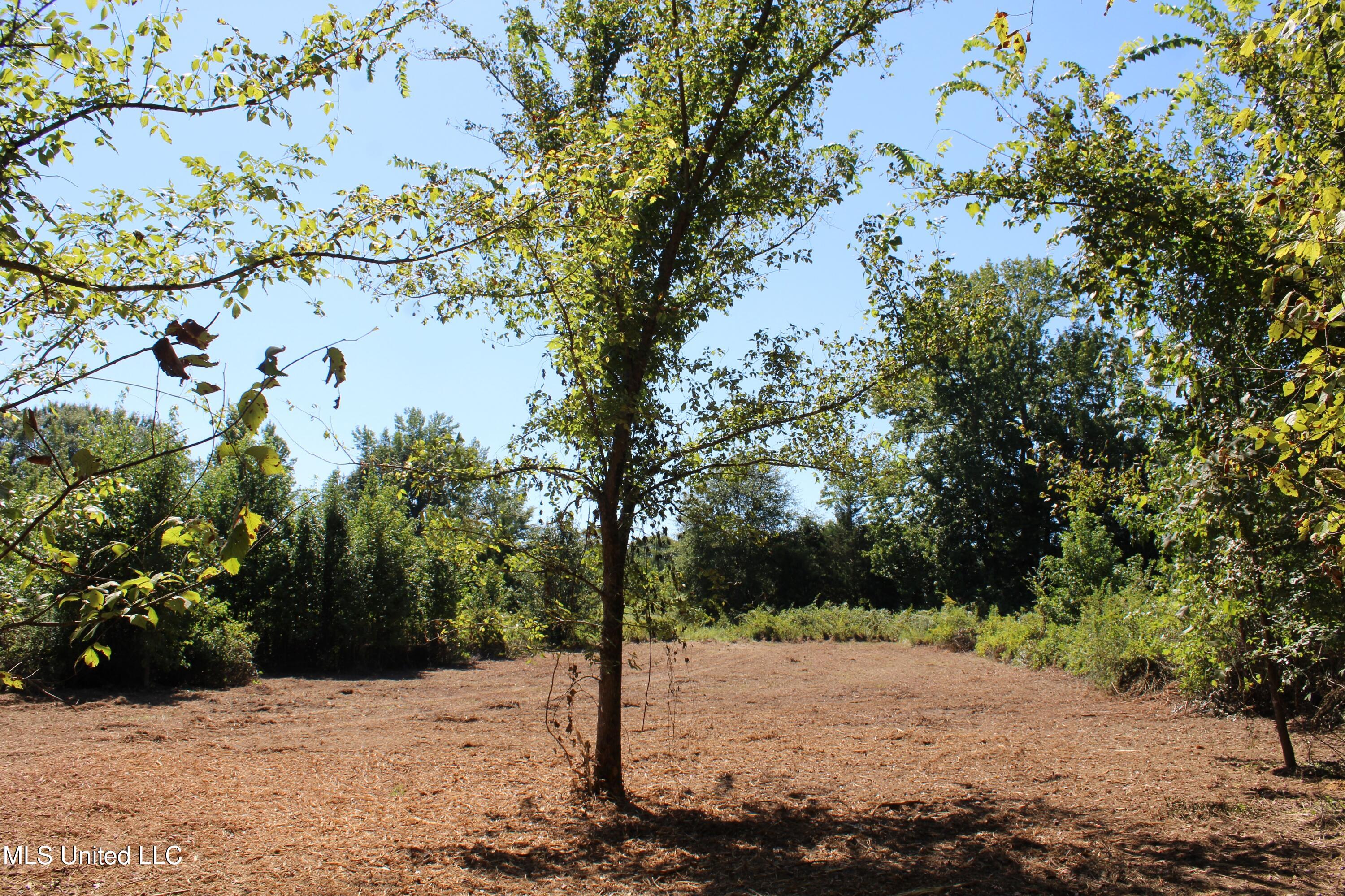 400 Echols Road Byhalia, MS 38611 - Photo 1 of 16 land