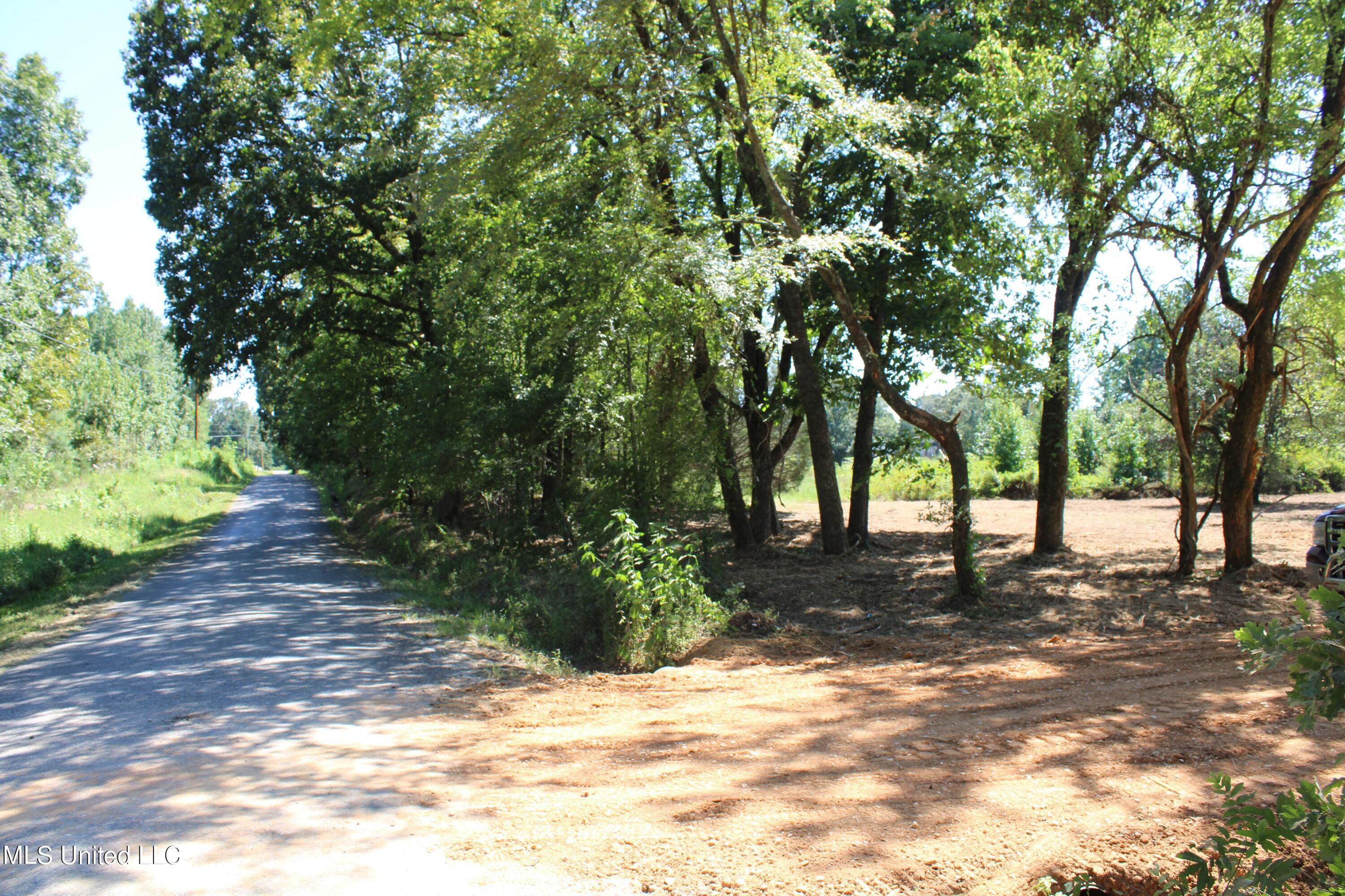 400 Echols Road Byhalia, MS 38611 - Photo 13 of 16 IMG_2147