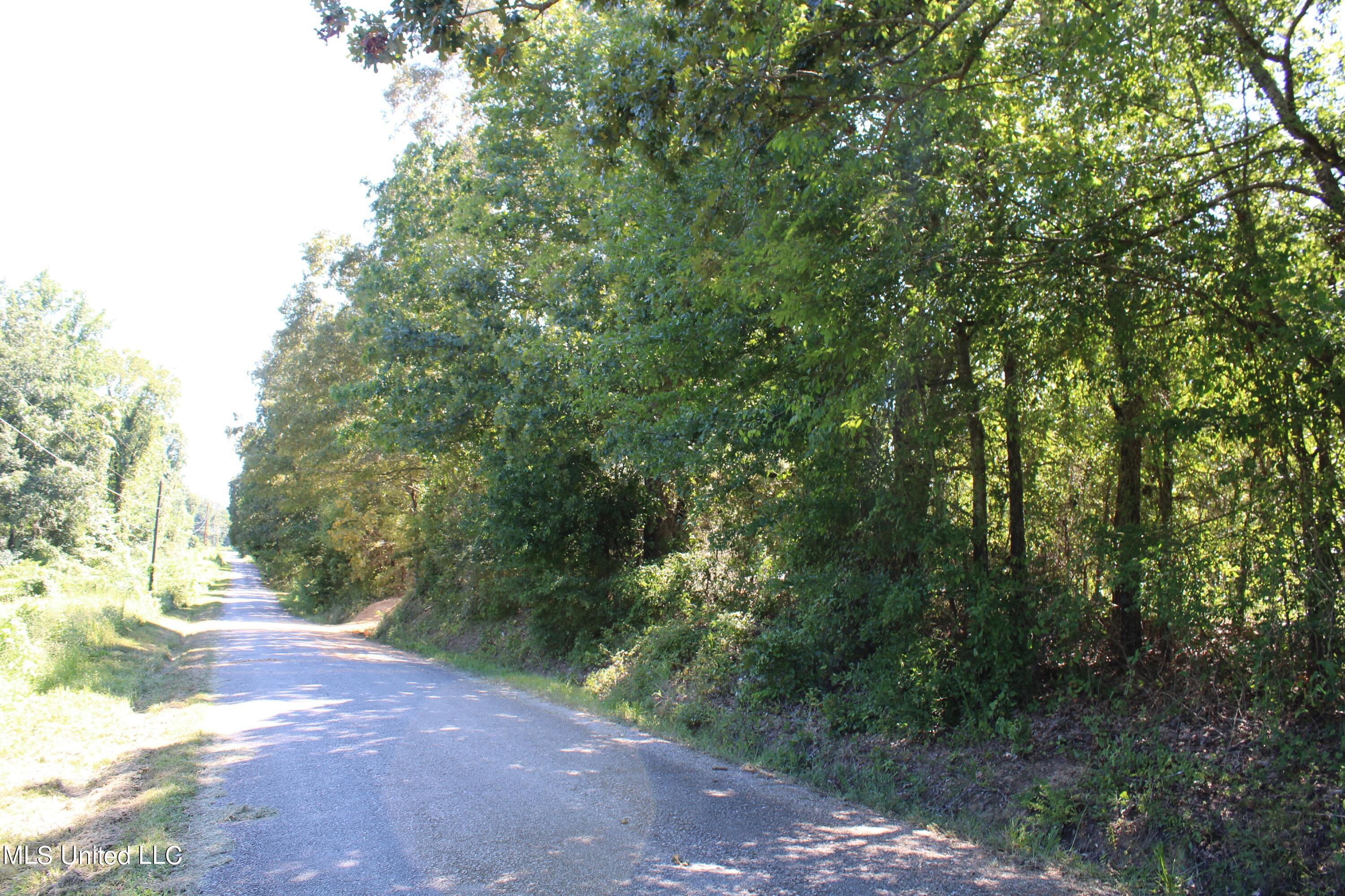 400 Echols Road Byhalia, MS 38611 - Photo 2 of 16 IMG_2135