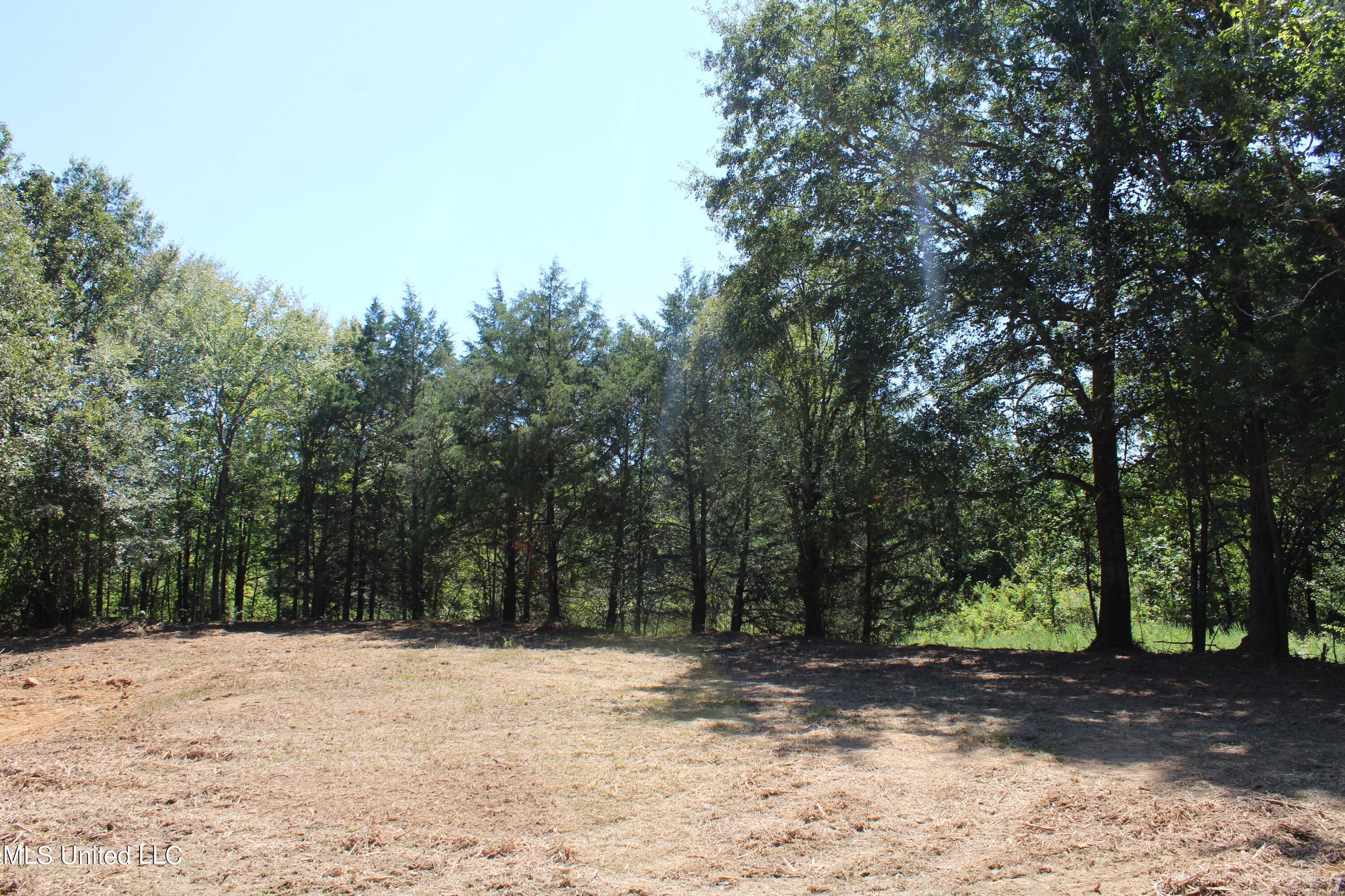 400 Echols Road Byhalia, MS 38611 - Photo 3 of 16 IMG_2136