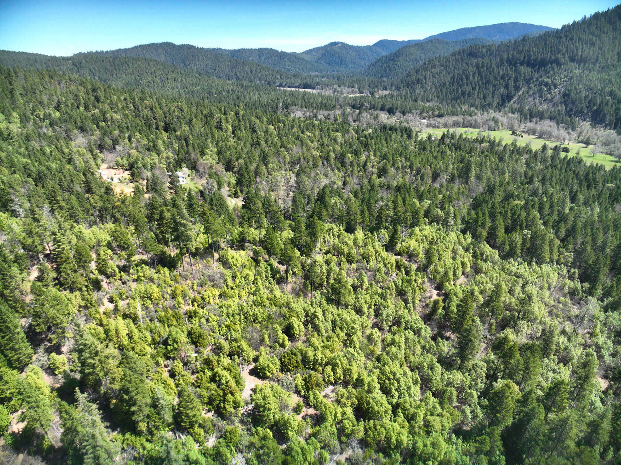 1000 Crooks Creek Road Selma, OR 97538 - Photo 6 of 28 6