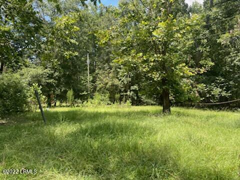 351 Wagon Branch Loop Ridgeland, SC 29936 - Photo 2 of 13 IMG_20220817_120432
