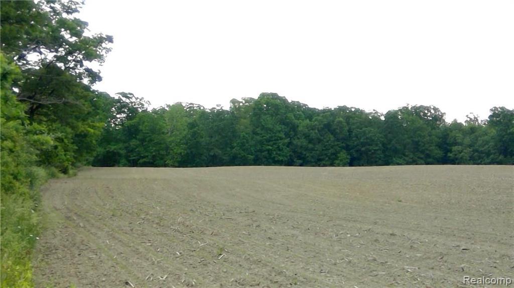 2463 Delano Road Oxford, MI 48371 - Photo 2 of 2 Gallery Image 2