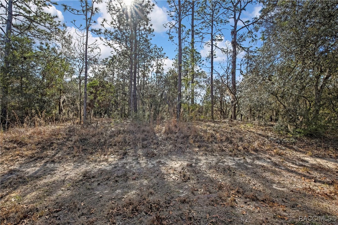 3921 North Longvalley Road Hernando, FL 34442 - Photo 5 of 11