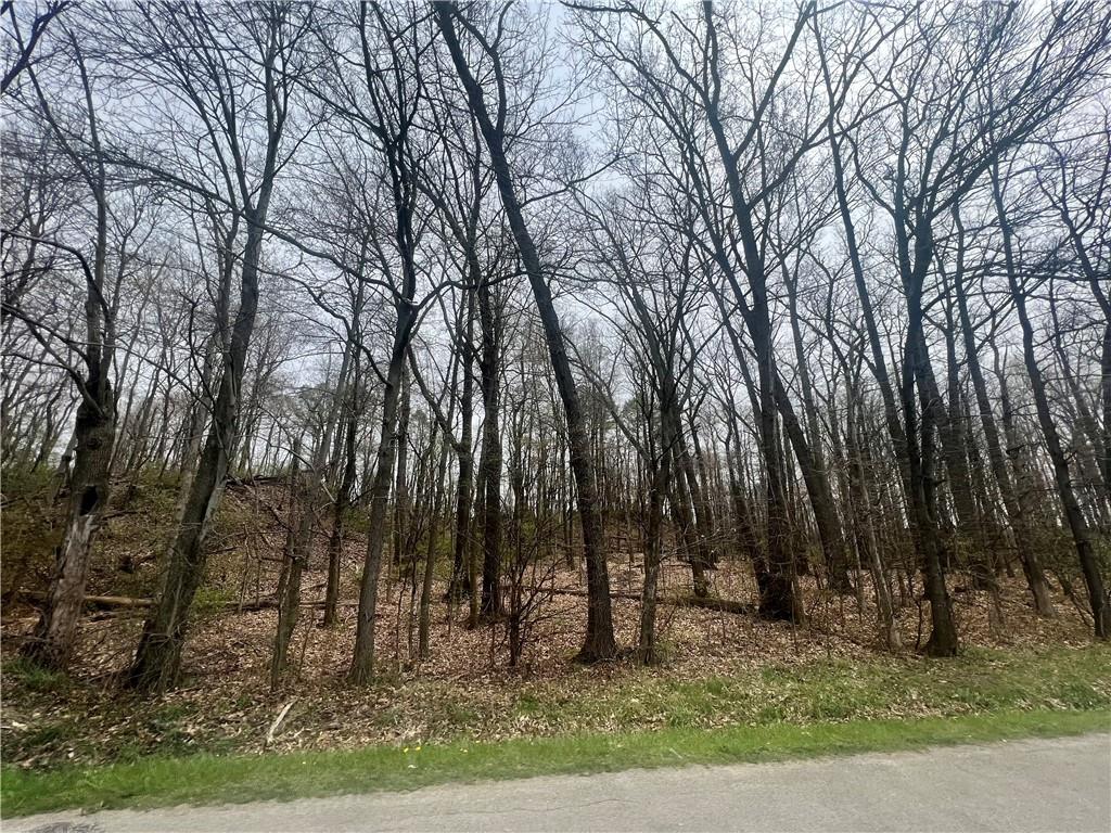 0 Dight Road Grove City, PA 16057 - Photo 4 of 8 a view of three trees
