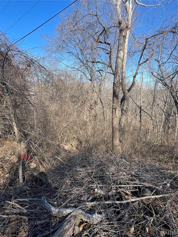 3333 Ketha Circle Festus, MO 63028 - Photo 2 of 6