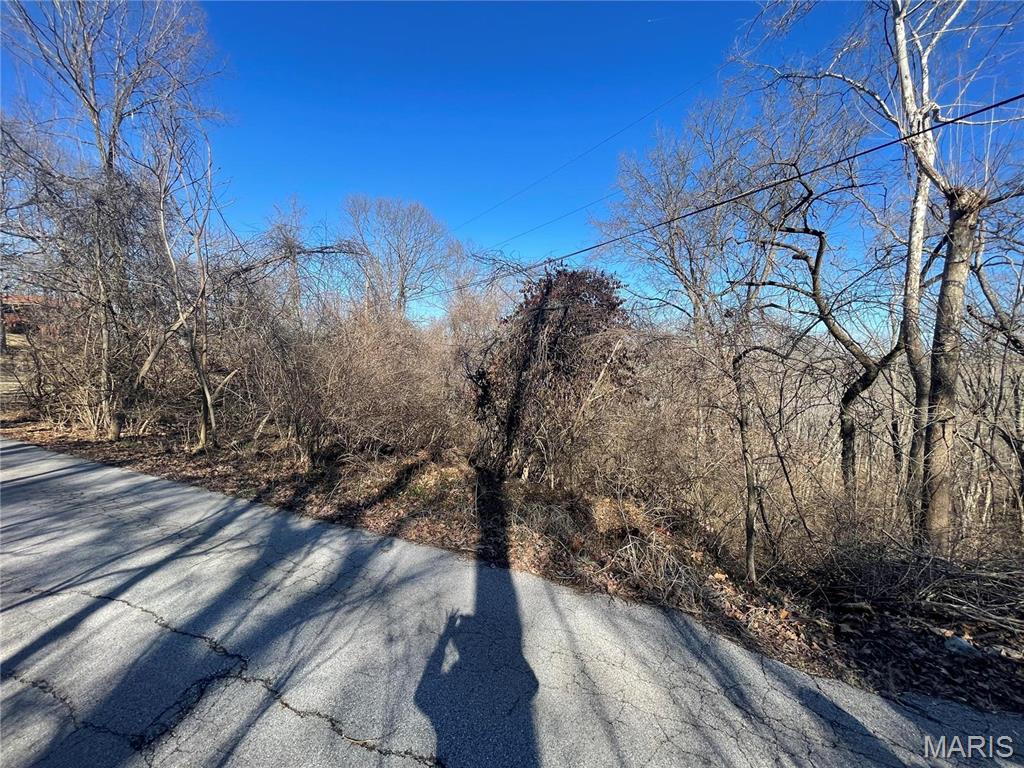 3333 Ketha Circle Festus, MO 63028 - Photo 3 of 6