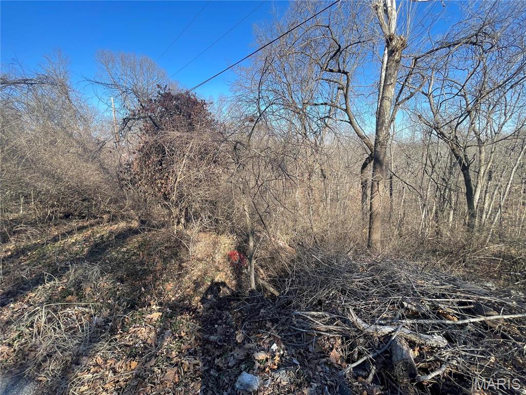 3333 Ketha Circle Festus, MO 63028 - Photo 4 of 6