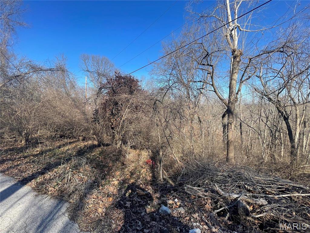 3333 Ketha Circle Festus, MO 63028 - Photo 5 of 6