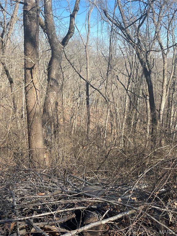 3333 Ketha Circle Festus, MO 63028 - Photo 6 of 6