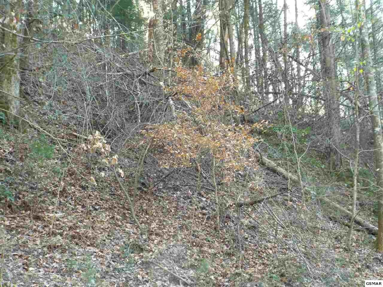 0 Loop Road Gatlinburg, TN 37738 - Photo 4 of 9