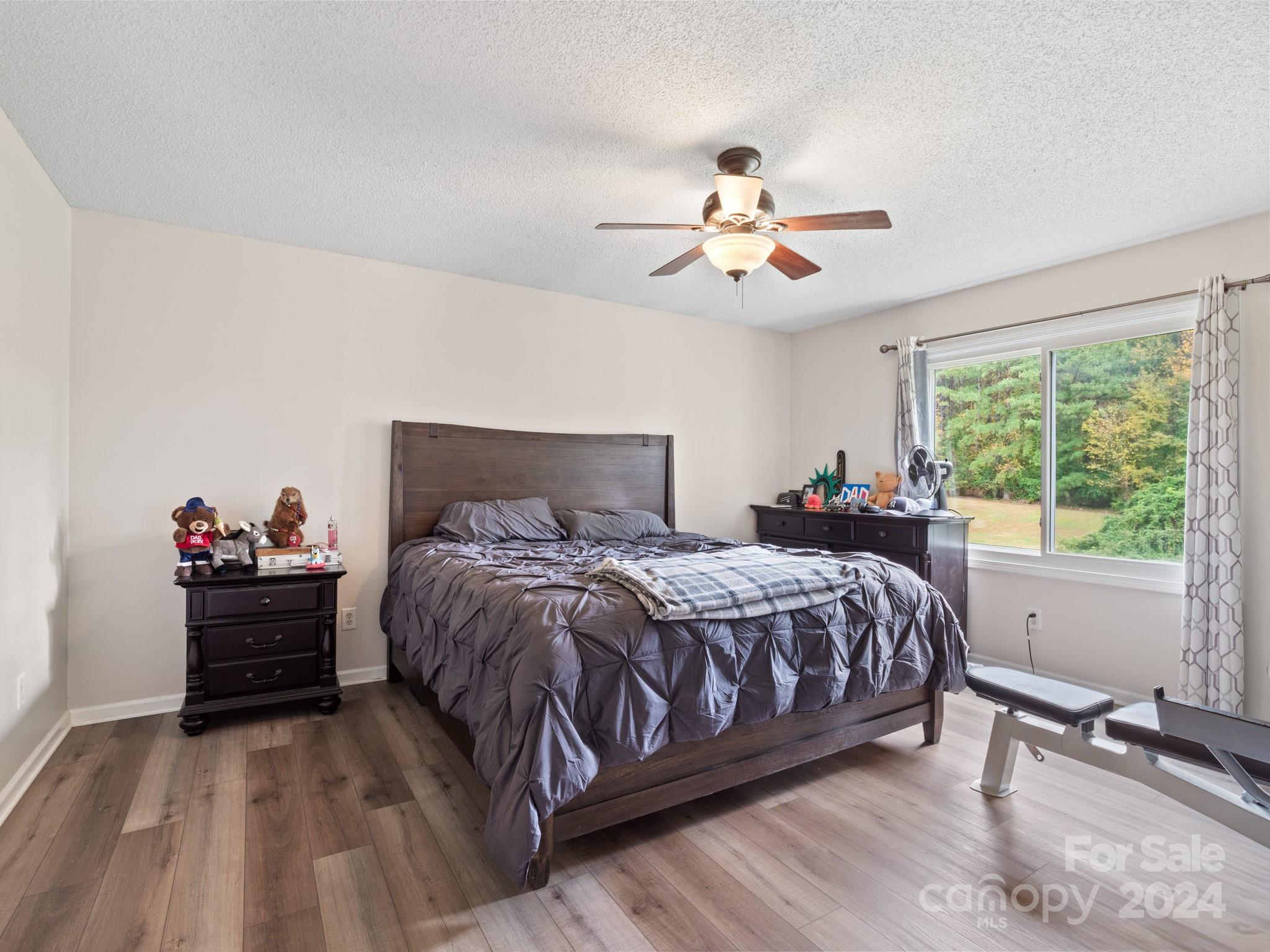 242 State Rd S-46-186 Clover, SC 29710 - Photo 15 of 32 Gallery Image 15