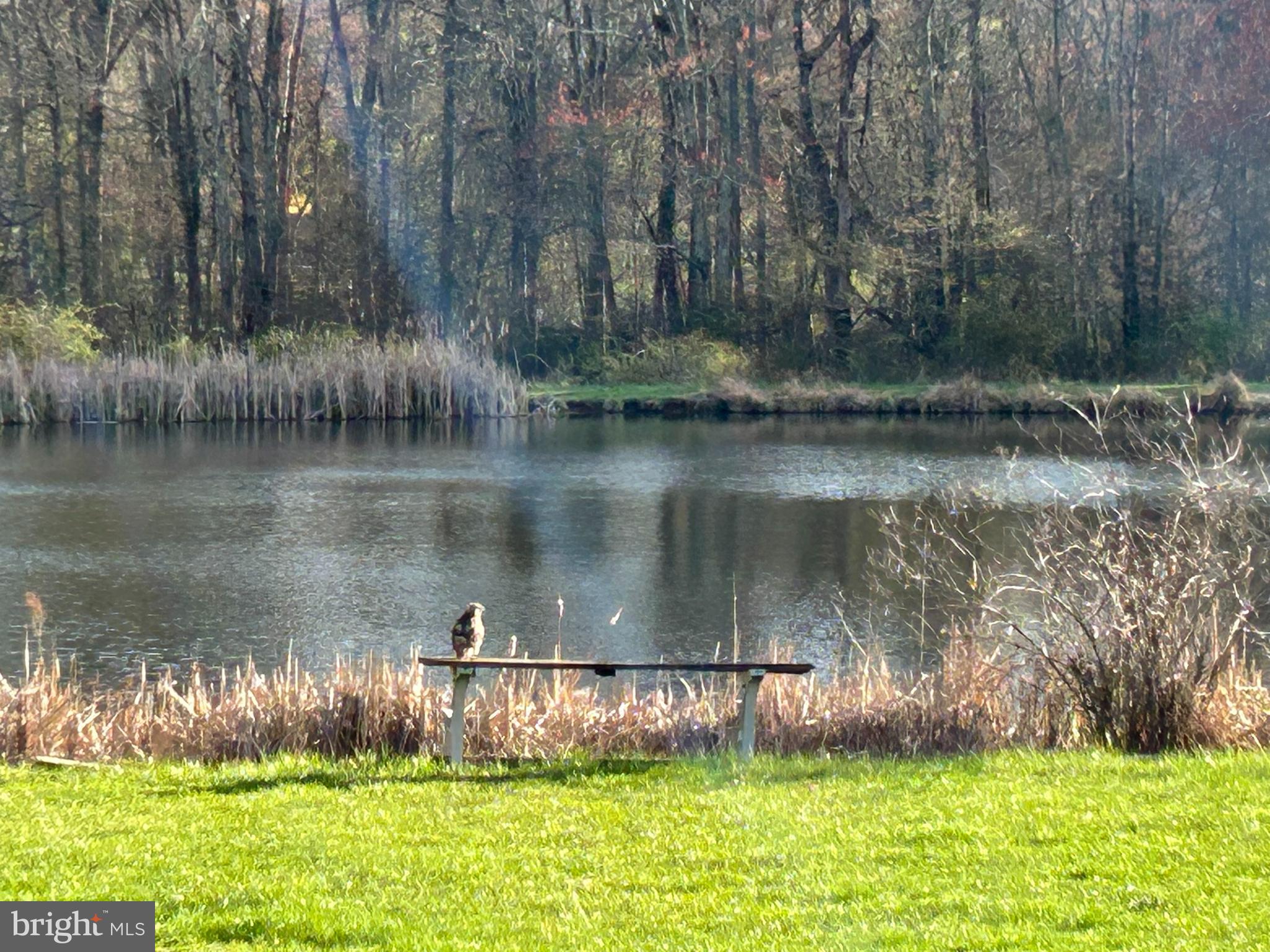 Natural Private Pond