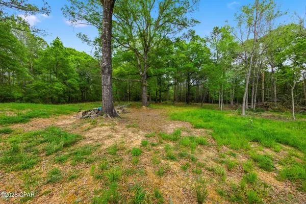 $234,500 | 650 Satellite Road, Graceville, FL 32440