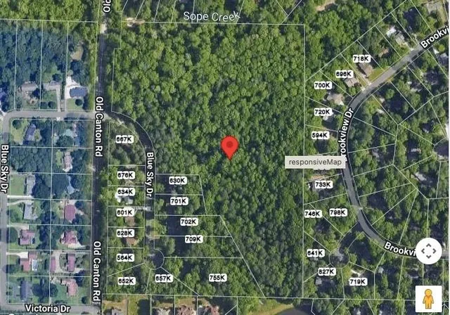 a picture of street view