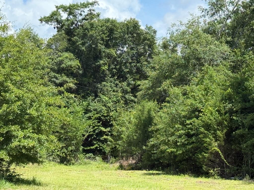 245 County Road 422 Abbeville, AL 36310 - Photo 29 of 39