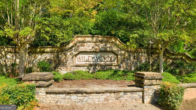 a view of a street with potted plants and large trees