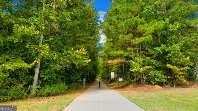 a view of a yard with plants and large trees