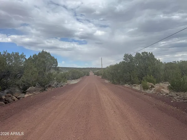 a view of a rural road with plants