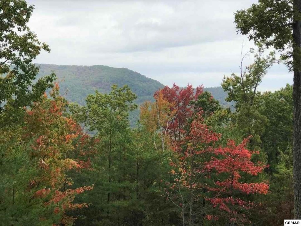 5015 Long Rifle Road Walland, TN 37886 - Photo 9 of 23 Gallery Image 9