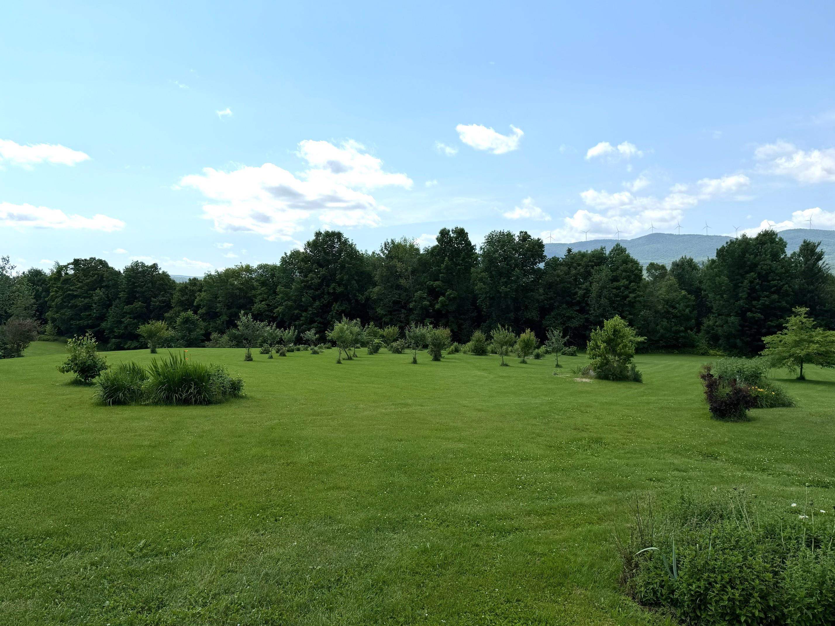 1090 Center Road, Unit 1 Albany, VT 05845 - Photo 40 of 50