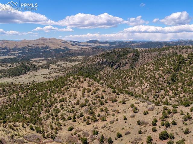 1131 Apache Road Florissant, CO 80816 - Photo 7 of 14